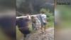 Video Viral Warga Luwu Utara Sulsel Sakit Keras Ditandu Sejauh 4 Km