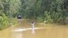 Banjir Landa Mesuji, Puluhan Hektare Kebun Karet Terendam