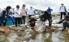 Teluk Jukung Lotim Kini Dijadikan Kampung Lobster, Pernah Dikunjungi Eks Menteri Edhy Prabowo
