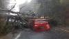 Viral, Mobil Tertimpa Pohon Tumbang di Ciloto Puncak, Warganet: Pantesan Macet