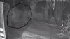 Geger, Sosok 'Hantu Putih' Terekam CCTV Rumah Kabid Damkar Kobar