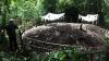 Fenomena Tanah Makam Meninggi di Padang Pariaman, Ahli Geologi Turun Tangan