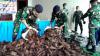 Diduga Selundupkan 1 Ton Vanili ke Jayapura, 4 Warga Papua Nugini Diamankan
