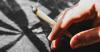 Kenali Bahaya Tar pada Rokok, Risikonya Kanker hingga Kardiovaskular