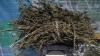 Bawa Ganja, Duo Pemuda di Solok Digerebek Polisi