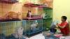 Ditinggal Mudik, Kucing-Kucing Ini Menginap di Tempat Penitipan Hewan - Bagian 1