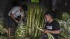 Jelang Idul Fitri, Pedagang Kulit Ketupat Banjir Pesanan - Bagian 2