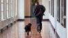 Anjing Peliharaan Mati, Barack Obama Kenang Kebersamaan saat di Gedung Putih