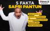 Infografis Fakta-Fakta Komedian Sapri Pantun