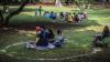 Warga Ber-KTP DKI Jakarta Liburan ke Taman Margasatwa Ragunan - Bagian 2