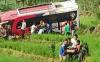Korban Tewas Bus Rombongan Pernikahan Masuk Sawah di Pasaman Bertambah Jadi 3 Orang