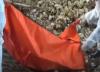 Video Penemuan Mayat Bayi di Bone pada Tumpukan Sampah