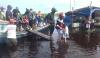 Banjir 5 Meter Kiriman dari Malaysia Rendam Ratusan Rumah di Sembakung Kaltara