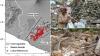 BMKG: 15 Tahun Lalu 27 Mei 2006 Gempa Dahsyat Yogyakarta 6.000 Orang Meninggal