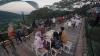 Bersantai Sambil Menikmati Kuliner dengan Suasana Alam di Jungle Cafe Trawas - Bagian 2