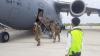 TNI AU dan US PACAF Latihan Militer Bersama di Riau