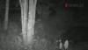 Video Penampakan Makhluk Misterius Gegerkan Warga Agam