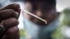 Budi Daya Lebah Madu di Hutan Kota Srengseng - Bagian 2