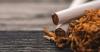 Lagi Tren Harm Reduction, Ternyata Bisa Kurangi Risiko Penyakit akibat Rokok