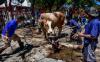 12 Cara Menyembelih Hewan Qurban Sesuai Syar'i yang Perlu Diketahui