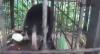 Video Heboh, Penemuan Hewan Aneh dan Langka di Solok
