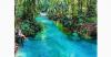 Indahnya Kalibiru Warsambin Raja Ampat, Sungai Jernih dengan Legenda Buaya Putih