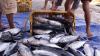 Manado Inflasi 0,07 Persen di Juni, Dipicu Kenaikan Harga Ikan Deho