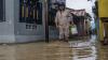 Sungai Palu Meluap, Ratusan Rumah Warga Terendam Banjir - Bagian 1