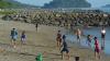 Penutupan Objek Wisata Pantai Padang Dimanfaatkan Warga untuk Berolahraga