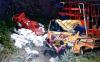 Truk Terjun ke Jurang Sedalam 60 Meter di Banjarnegara, Ribuan Ayam Potong Mati