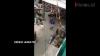Video Sapi Kurban Lepas di Tanjung Priok, Berkeliaran dan Seruduk Motor