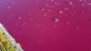 Aneh, Danau Ini Berubah Menjadi Pink