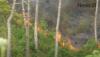 Video Kebakaran Hutan di Hutan Gunung Sipiso Sumut