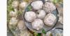 5 Rahasia Kuah Bakso Harum, Ternyata Begini Cara Buatnya