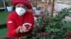 Isoman Ketika Terpapar Covid-19, Berkebun Jadi Cara Wakil Wali Kota Semarang Tetap Produktif 