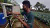 Petani Desa Gobleg Bali Gunakan Teknologi IoT untuk Pantau Hasil Perkebunan - Bagian 2