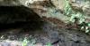 Gua Purba Ditemukan di Hutan Lamongan, Banyak Keanehan Terjadi!