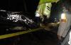 Gegara Sarang Tawon, Gudang Kayu Ludes Terbakar