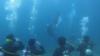 Penyelam Profesional Sulut Gelar Upacara di Dasar Laut Minahasa Tenggara 