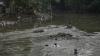 Nekat, Anak-Anak Berenang di Derasnya Sungai Ciliwung Tanpa Pengawasan Orang Tua - Bagian 2
