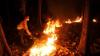 Puluhan Hektare Hutan Lindung di Situbondo Terbakar Gegara Ulah Pencari Burung - Bagian 1