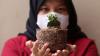 Membuat Pot Bunga Cantik Berbahan Limbah Pelepah Pisang - Bagian 2