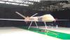 Hebat, Indonesia Produksi Drone Berdaya Jelajah 250 Km dengan Misi Intai 24 Jam 