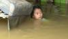 Banjir di Katingan Nyaris Tenggelamkan Rumah Warga, Ketinggian Air Capai 2 Meter