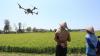Petani Kerahkan Drone Semprot Cairan Pestisida