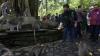 Erick Thohir Berikan Bantuan Pakan untuk 1.200 Kera Penghuni Monkey Forest - Bagian 1
