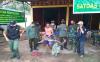 Prajurit TNI Serahkan Buaya Senyulong ke BKSDA