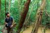 Tanggapi Isu Deforestasi, Kemenhut: Pembukaan Hutan Berizin Bukan Ilegal