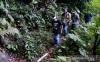 Komisi IV DPR dan KLHK Sepakat Gunung Sanggabuana Jadi Taman Nasional