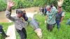 Puluhan Ekor Buaya Dievakuasi dari Penangkaran Terbengkalai di Muaro Jambi - Bagian 1